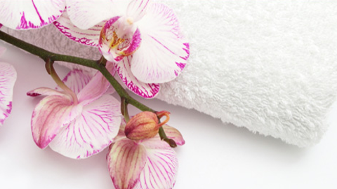 Indigo Health & Beauty