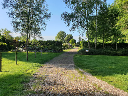 Noorderzon - Thumbnail