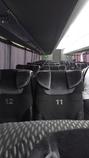 Titanium Buses - Visual