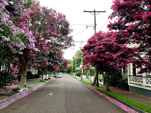 Visit Natchez - Thumbnail