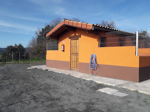 Hotel para perros Akindi Bizkaia – Hotel canino