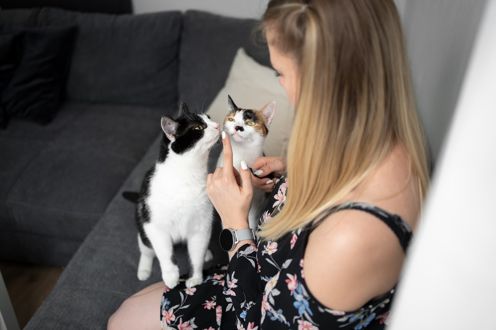 Cherished Cats Pet Sitting