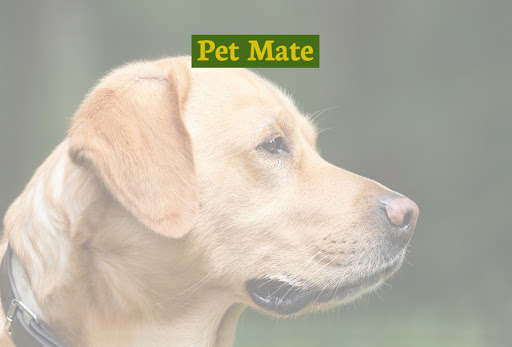 Pet Mate - Visual