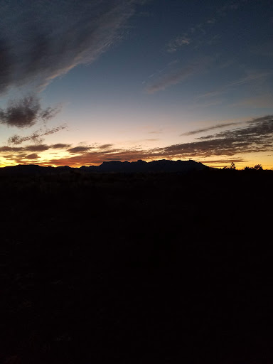 Camp de Leon - Visual