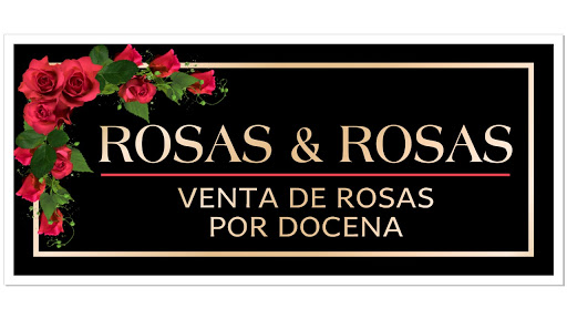 Rosas & Rosas - Thumbnail