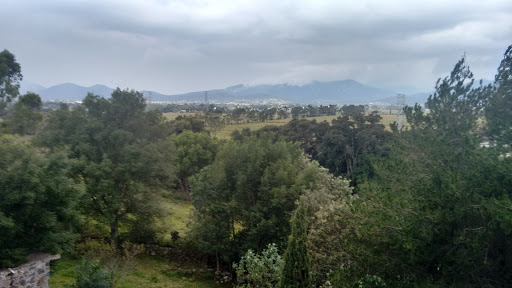 Rancho Paraiso (Trex Stadium)