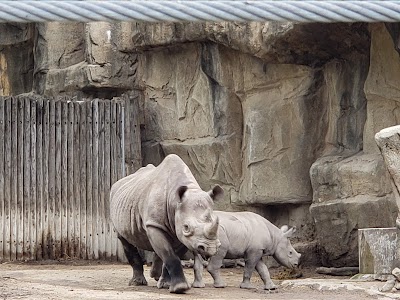 Lincoln Park Zoo