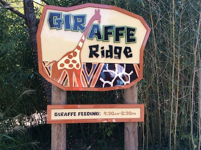 Giraffe Ridge