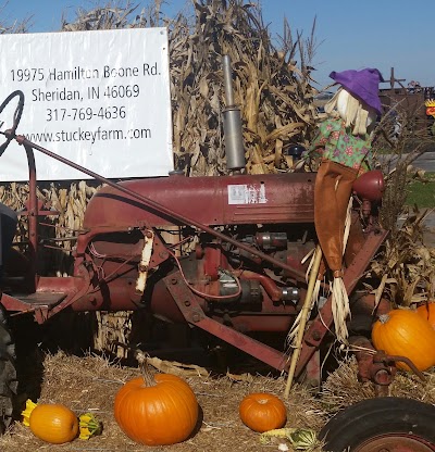 Photos of Stuckey Farm Market