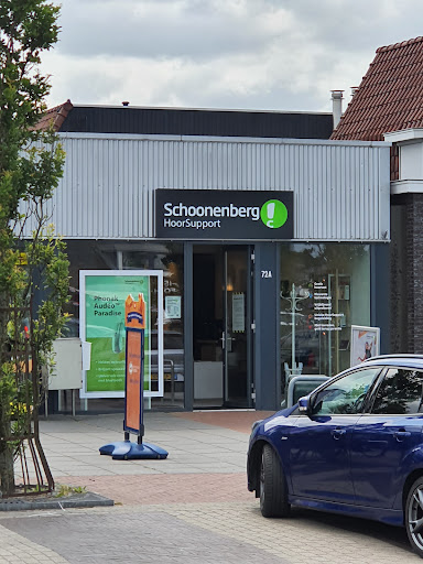 Schoonenberg - Visual
