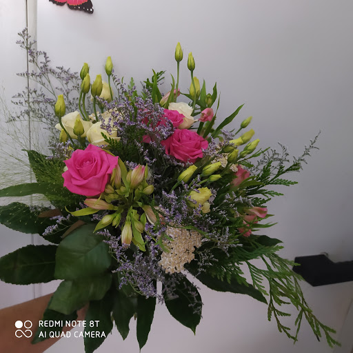 Mara Floristería - Thumbnail