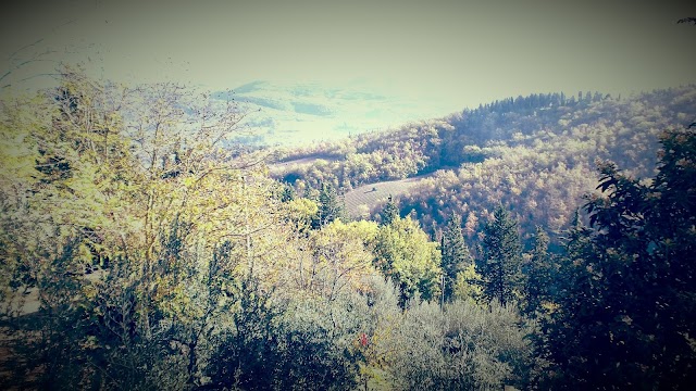 Montefioralle