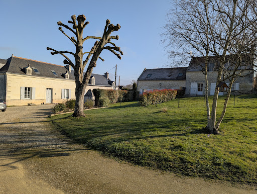 Photo de L'Ermitage Maison d'hôtes à Huismes (37420)