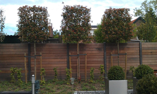 Boomkwekerij en Groenbedrijf De Fruittuin