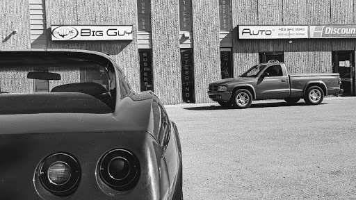 Big Guy Auto - Visual