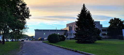 Vanier High School - Visual