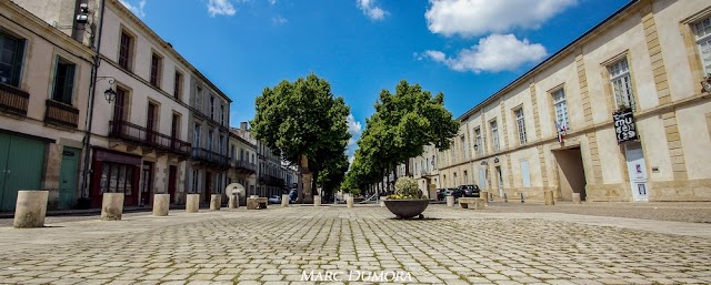 Verdelais