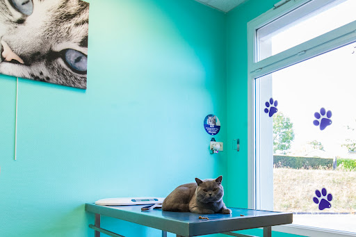 Veterinary Clinic of the Stork - Thumbnail