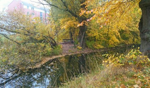 Kanalön - Visual