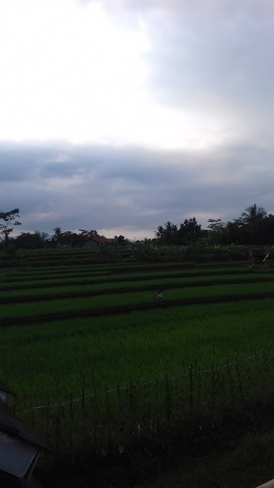 Photos of Shamara Purbalingga