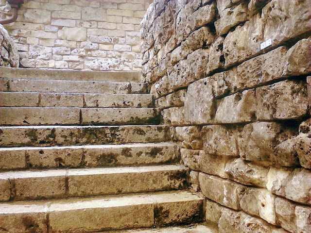 Florida Caverns State Park