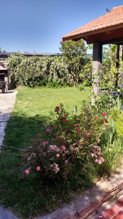 Photos of Hotel Petit Jard&iacute;n