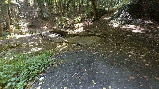 Opinii despre Природен парк „Шуменско плато“ în Шумен - Куриерска услуга