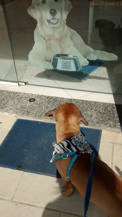Photos of Veterinary Clinic Dr. Stenio
