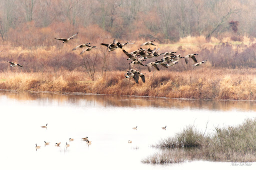 Mill Creek Wildlife Sanctuary - Thumbnail
