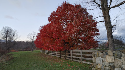 Baxter Preserve- The Racetrack - Thumbnail