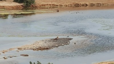 Photos of Ghwarrie Dam Lookout