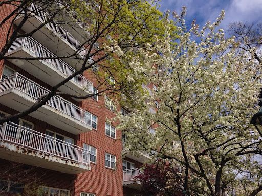 Malden Housing Authority - Thumbnail