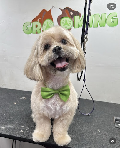 Royal Palace Grooming