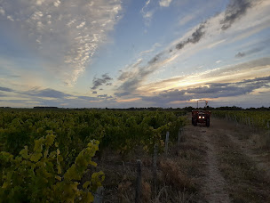 Photo n°17 de Château Gaudrelle à Rochecorbon (Magasin de vins et spiritueux)