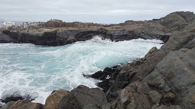 Photos of Playa La Ballena
