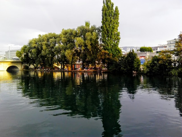 La Barje des Lavandières