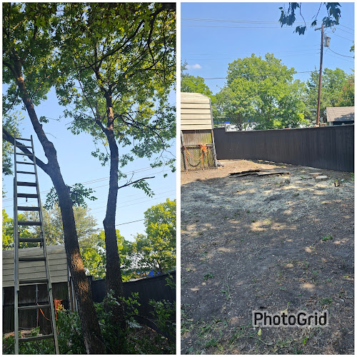 Willow Creek Landscaping Tree Service