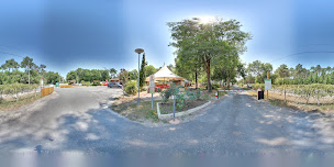 Photo n°59 de Camping Municipal 