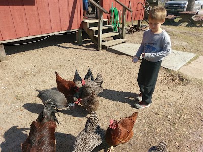 Photos of Henscratch Farms