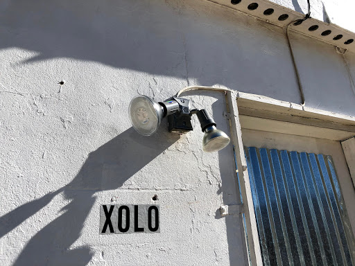 Xolo Gallery - Visual
