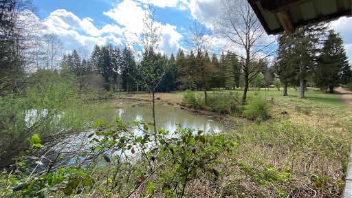 Wildaussicht - Visual