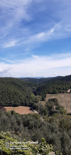 V.Cavour - Visual
