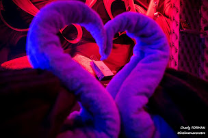 Photo n°8 de Évasion Charnelle à Chemiré-le-Gaudin (Chambre d'hôtes)