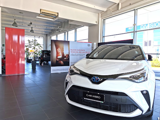 Centro Assistenza Autorizzato Toyota Jolly Motori Gallery - Italy
