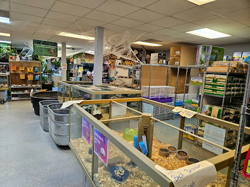 Panhandle Exotics - Visual