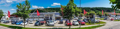 W & S Automobile GmbH