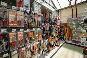 Photo n°7 de Jardinerie Derly Blagon à Lanton (Pépinière)