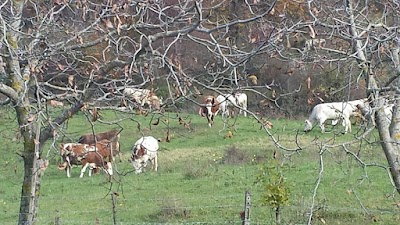 Azienda Agricola La Casaccia Bologna