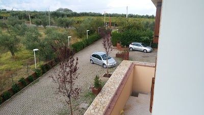 Photos of Le Tre Rose