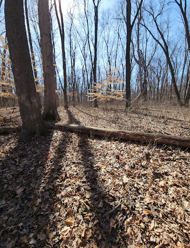 Middle Fork Woods Nature Preserve